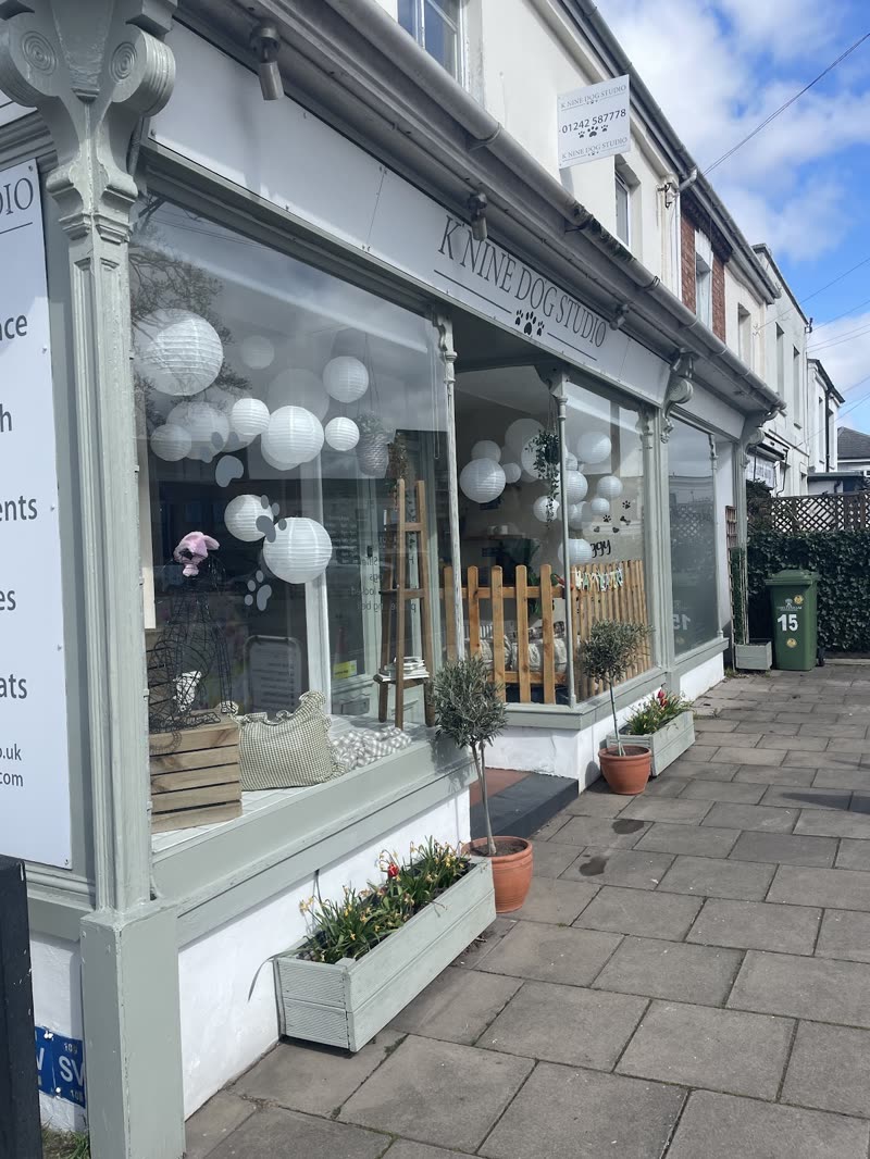 The grooming studio shopfront on Shurdington Road, white-framed windows dressed with pale balloons and a planter of flowers by the door